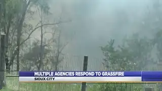multiple agencies respond to grassfire
