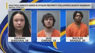 Multiple arrests made in Iberia Parish vehicle theft ring