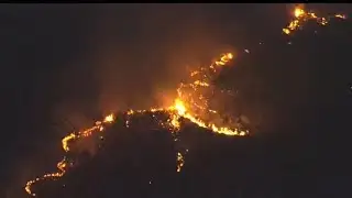 Multiple fire crews battle massive brush fire on South Side