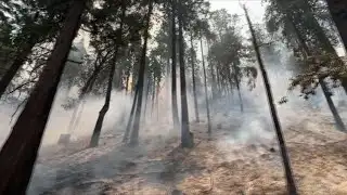 Multiple large wildfires burning in California