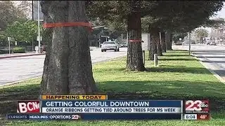 Multiple Sclerosis Awareness Week