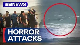 Multiple shark attacks across NSW in 48 hours | 9 News Australia