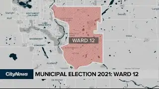 Municipal election 2021: Ward 12