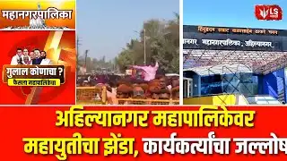 Municipal Election Result |  Ahilyanagar महापालिकेवर महायुतीचा झेंडा, कार्यकर्त्यांचा जल्लोष