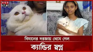 ইতালি যাত্রা ব্যর্থ পোষা বিড়াল ক্যান্ডির, বিমানবন্দরে মানহীন খাঁচার জটিলতা |Munshiganj News |SomoyTV