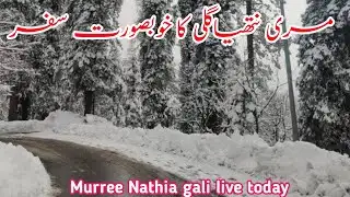 Murree live today | #murree snowfall 2026 | nathia gali today | #nathiagali snowfall update 