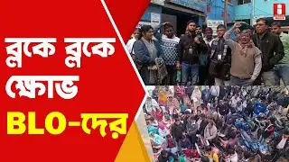 Murshidabad News: SIR এর কাজ থেকে মুক্তি চেয়ে বিক্ষোভ BLO দের