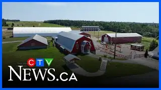 Music party comes to Cape Breton