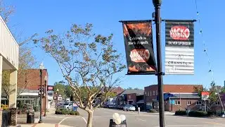 Musical lineup announced for this year