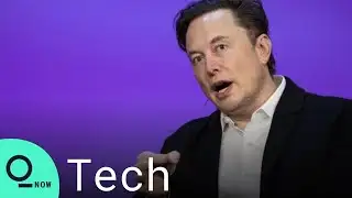 Musk Twitter Deal May Collapse Over Bots, Report Says