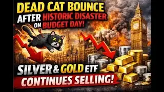 Mutual Fund Portfolio Update | Dead Cat Bounce