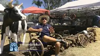 MVTV News - BBQ Music Fest