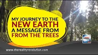 My Journey To The New Earth - A Message From The Trees