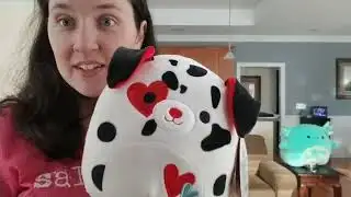 My Squishmallow Collection