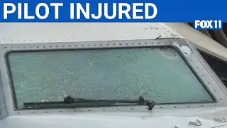 Mystery object hits United flight mid-air | FOX 11 LA