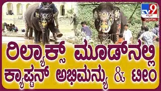 Mysuru Dasara 2025: ಮೈಸೂರು ಅರಮನೆಯಲ್ಲಿ ಫುಲ್ ರಿಲ್ಯಾಕ್ಸ್ ಮೂಡ್​ನಲ್ಲಿರುವ ದಸರಾ ಗಜಪಡೆ | #TV9D