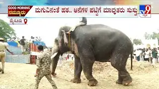 Mysuru Dasara Elephants Return To Camps: ದಸರಾಗೆ ಆನೆಗಳಿಗೆ ಅರಮನೆಯಿಂದ ಬೀಳ್ಕೊಡುಗೆ ಲಾರಿ ಹತ್ತದೇ ಗಜಪಡೆ ಬೇಸರ