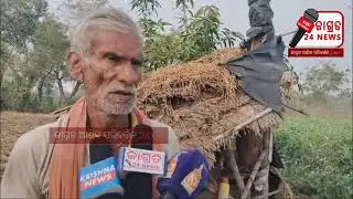 ଖାଦ୍ୟ ଅଭାବରୁ ଜଙ୍ଗଲୀ ହାତୀ ପଲ ଏବେ ଗାଁ ମୁହାଁ ହୋଇଛନ୍ତି..