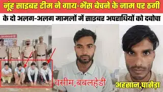 नूंह साइबर टीम ने गाय-भैंस बेचने के नाम पर ठगी के दो अलग-अलग मामलों में साइबर अपराधियों को दबोचा 