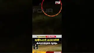 ജനവാസ മേഖലയിലേക്ക് കടുവ അതിവേഗം ഓടുന്ന ദൃശ്യങ്ങൾ; ആളുകൾ പുറത്തിറങ്ങരുതെന്ന് നിർദ്ദേശം