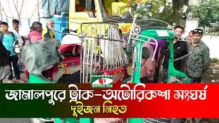 জামালপুরে ট্রাক-অটোরিকশা সংঘর্ষে দুইজন নিহত