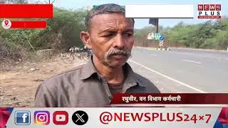 इटावा बीहड़ वाले सैय्यद बाबा की मजार के रास्ते बंद, उर्स की अनुमति नहीं, कार्यक्रम स्थगित