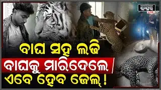 ବାଘ ସହ ଲଢ଼େଇ କରି ବାଘକୁ ମାରିଥିଲେ ସୁଭ୍ରାଂଶୁ ଏବେ ମିଳିବ ବଡ଼ ଦଣ୍ଡ! କଣ କହୁଛି ଆଇନ୍