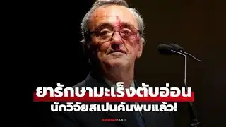 ยารักษามะเร็งตับอ่อน นักวิจัยสเปนค้นพบแล้ว