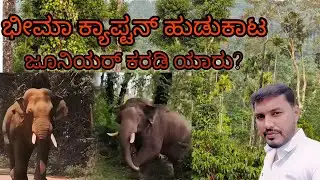 ಕ್ಯಾಪ್ಟನ್‌ಗಾಗಿ ಭೀಮಾ ಹುಡುಕಾಟ❓ಅರಣ್ಯದ ಸ್ಟಾರ್ ಭೀಮಾ ನೆಕ್ಸ್ಟ್ ಲೆವಲ್ ಕ್ರೇಜ್ ,❣️ಕ್ಯಾಪ್ಟನ್‌ಗೆ ಮಧ ಕಡಿಮೆ ಆಗಿದೆ🐘