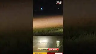 വയനാട്ടിൽ കടുവ വീണ്ടും ജനവാസ മേഖലയിലേക്ക്: ആളുകളോട് മാറാൻ നിർദ്ദേശം