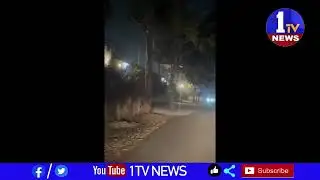 రాజమండ్రి తొర్రేడులో పెద్ద పులి హ‌ల్‌చ‌ల్‌