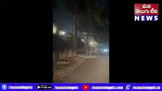 రాజమండ్రి తొర్రేడులో పెద్ద పులి హ‌ల్‌చ‌ల్‌