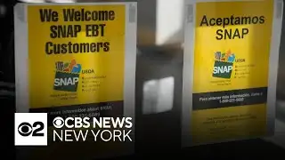 N.Y. lawmakers push food security bills amid federal SNAP cuts