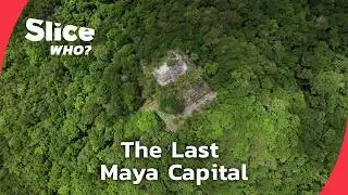 Naachtun: the last forgotten Mayan city | SLICE WHO