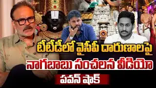 Nagababu Sensational Viral Video : టీటీడీలో వైసీపీ దారుణాలపై నాగబాబు సంచలన వీడియో | Wild Wolf