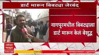 Nagpur Leopard : नागपूरमधील बिबट्याला डार्ट मारुन केलं बेशुद्ध, वनविभगाकडून बिबट्या जेरबंद