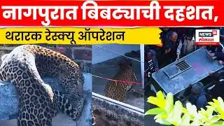 Nagpur Leopard News | पारडी शिवारामध्ये बिबट्याची दहशत, पाहा बिबट्याचा थरारक रेस्क्यू ऑपरेशन N18V