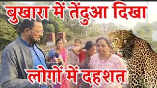Nagpur Leopard News| नागपुर बुखारा में पहुंचा तेंदुआ लोगों में दहशत