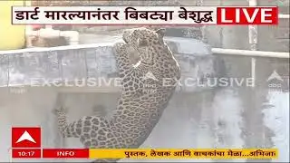 Nagpur Leopard Rescue Operation | बिबट्या थेट समोर आला, अंगावर काटा आणणारी Exclusive दृश्य