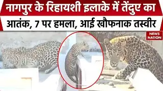 Nagpur Leopard Terror: नागपुर में तेंदुए का खौफ, रिहायशी इलाके में घुसकर 7 लोगों पर किया हमला