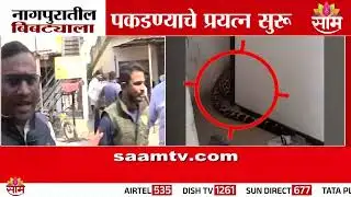 नागपुरातील बिबट्याला पकडण्याचे प्रयत्न सुरु | Nagpur News