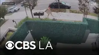 Naked man killed after attacking Vietnam War veteran in Studio City neighborhood