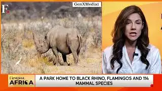 Namibia Wildfire Devastates Etosha, One-Third of National Park Destroyed