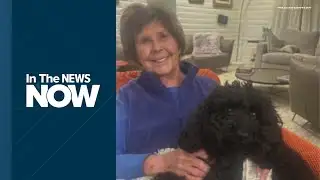 Nancy Guthrie Missing: 