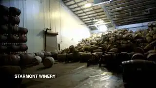 Napa Wineries Clean Up | Breaking News