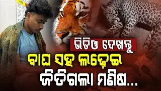 ବାଘ ସହ ଲଢ଼େଇ ଜିତିଗଲା ମଣିଷ... | Narsinghpur | Leopard Attack | Man Vs Leopard | Argus Digital