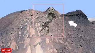 NASA Didn’t Expect This When These Mars Images Went Public (World-Shaking 4K)