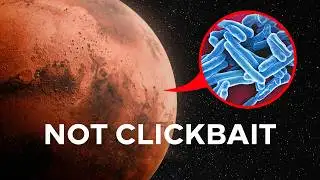 NASA Probably Just Found Life On Mars