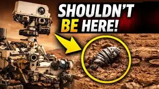 NASA’s Perseverance Rover Found Something That Shouldn’t Be on Mars