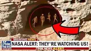 NASA’s Rover Detected an UNKNOWN CREATURE Moving on Mars!